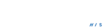 Bizvize