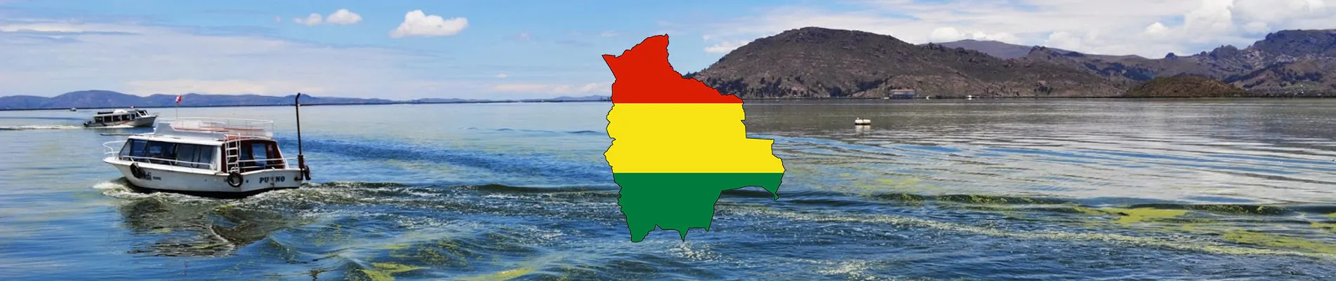 Bolivya Vizesi 