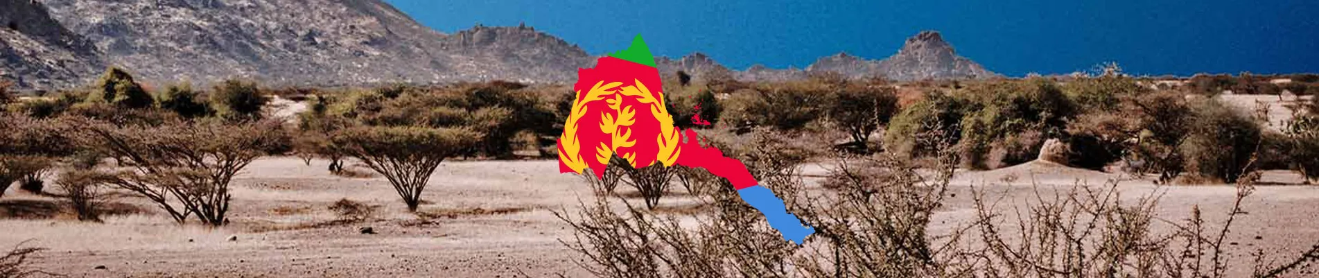 Eritre Vizesi