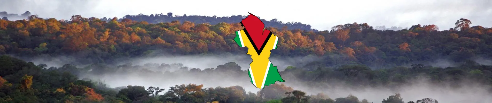 Guyana Vizesi