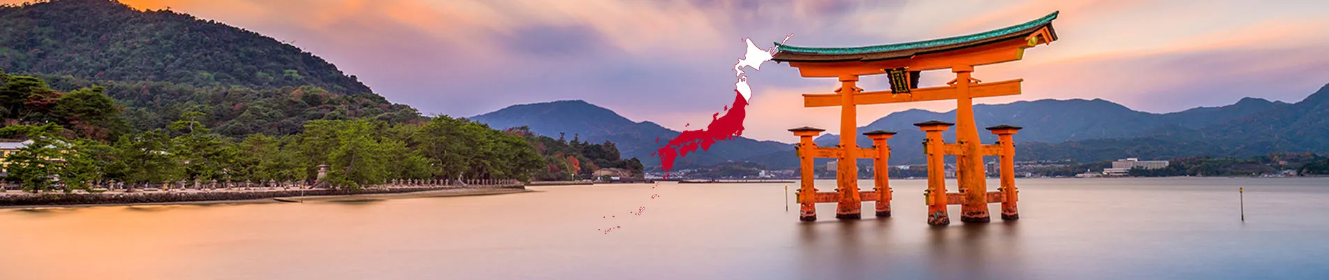 Japonya Vizesi