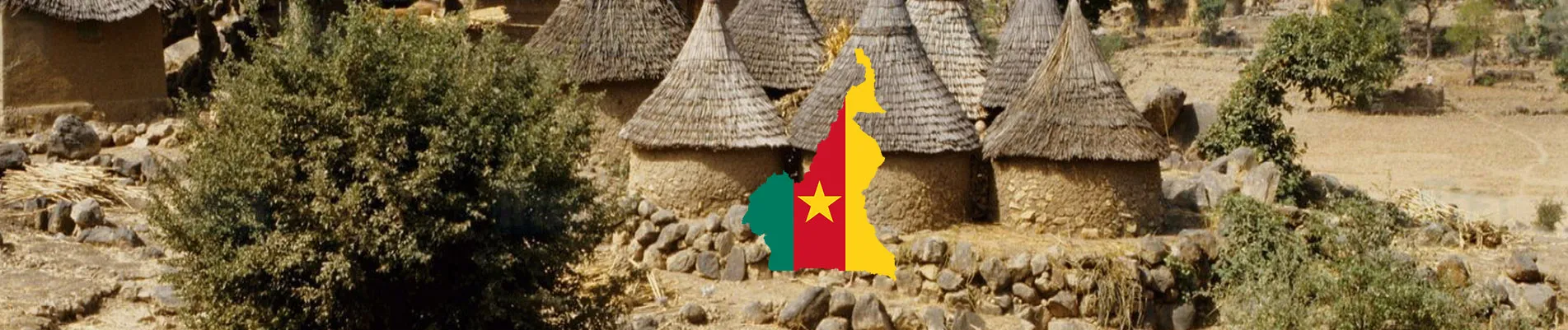 Kamerun Vizesi