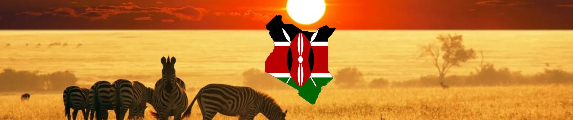Kenya Vizesi 