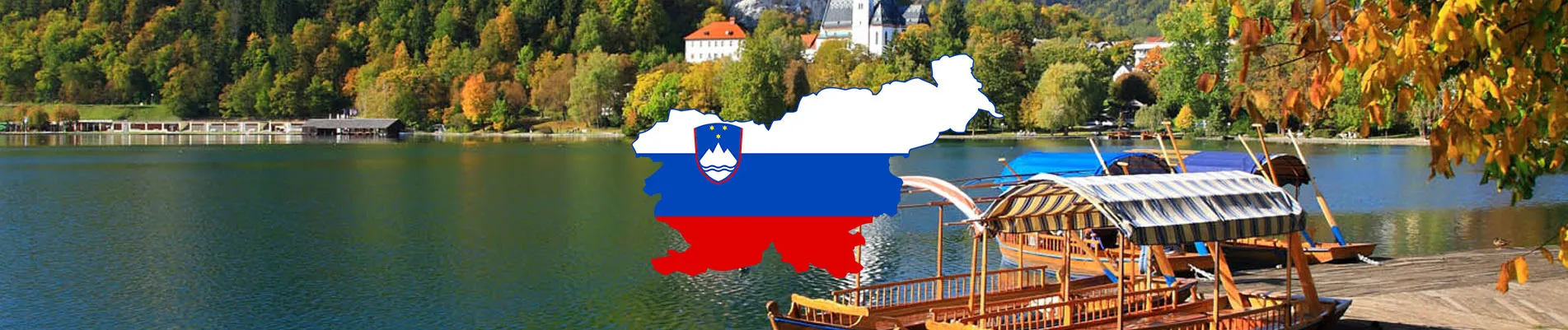 Slovenya Vizesi 