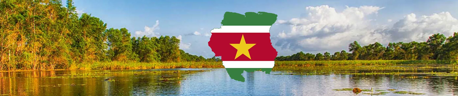 Surinam Vizesi