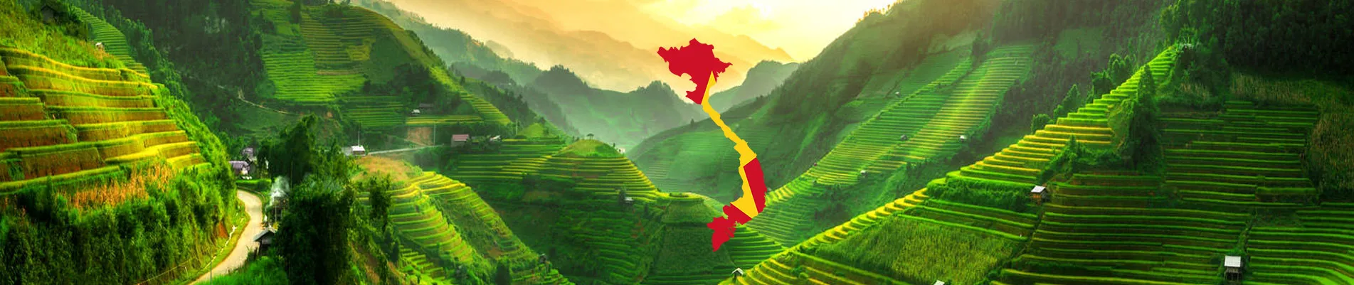 Vietnam Vizesi